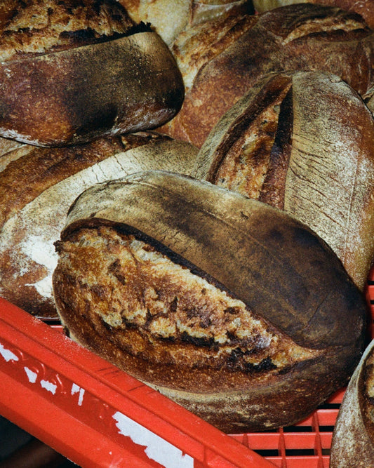 Organic Light Rye Sourdough