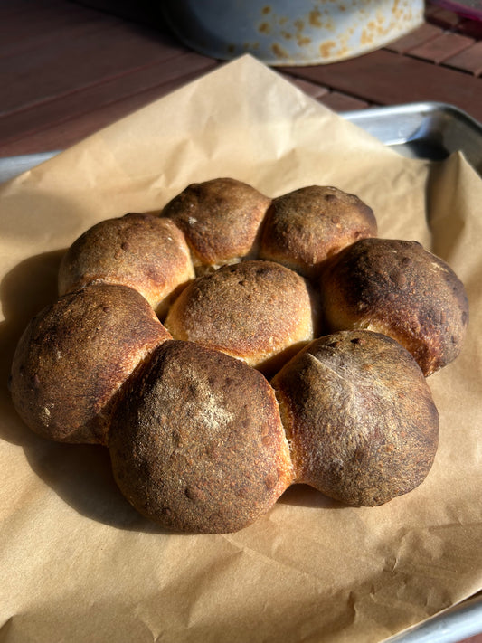 Sourdough Wheel (Rolls)