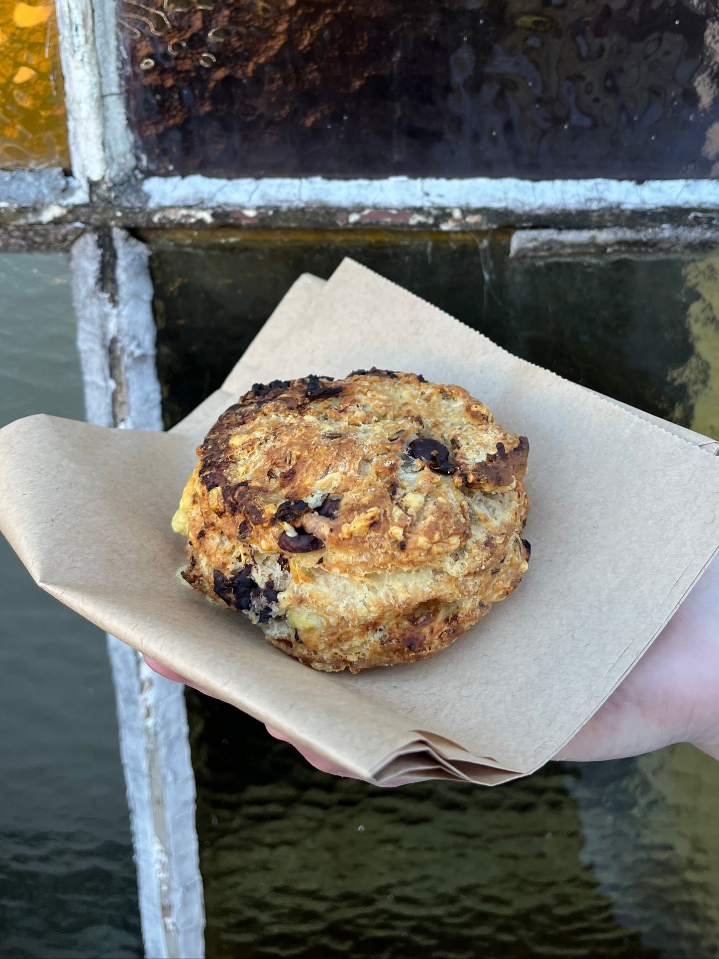 Confit Onion, Kalamata Olive, Cheddar, Caraway Spelt Scone